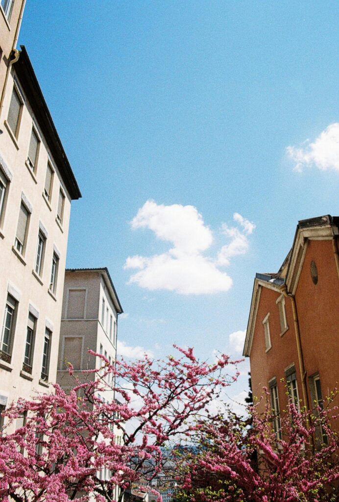 gestion location saisonnière lyon